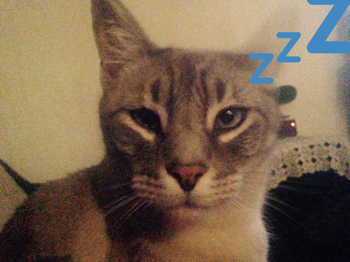 sergat0's tweet image. Nice!!!!