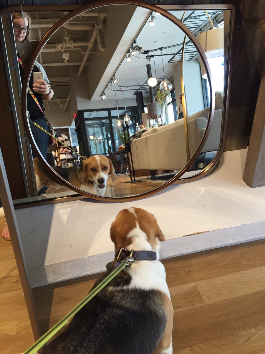 Adventure time again yesterday. Hanging out in Birmingham getting treats from everyone in the shops 😀😀