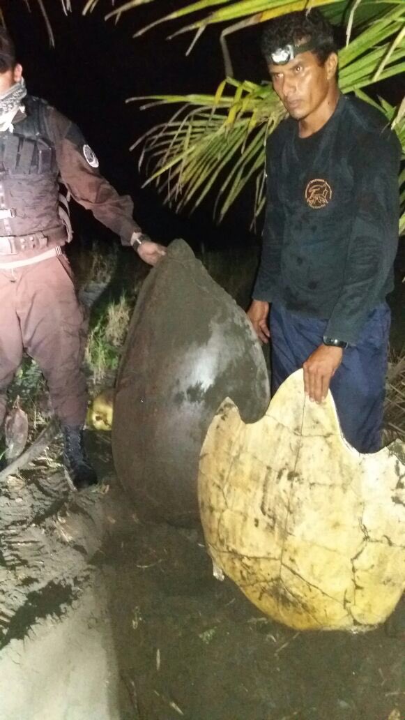 OperacionMoin's tweet photo. #Live From #Moin #JairoVive @zonavivacr @fuerzapublicaCR https://t.co/8lpqkuc7yv
