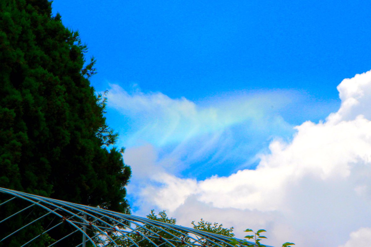 aqua_ko2's tweet photo. 虹色の雲。彩雲。
でも、撮ろうとした時には消えかけてた〜😭。うっすら彩雲。
#彩雲 https://t.co/J5wApeT4dG