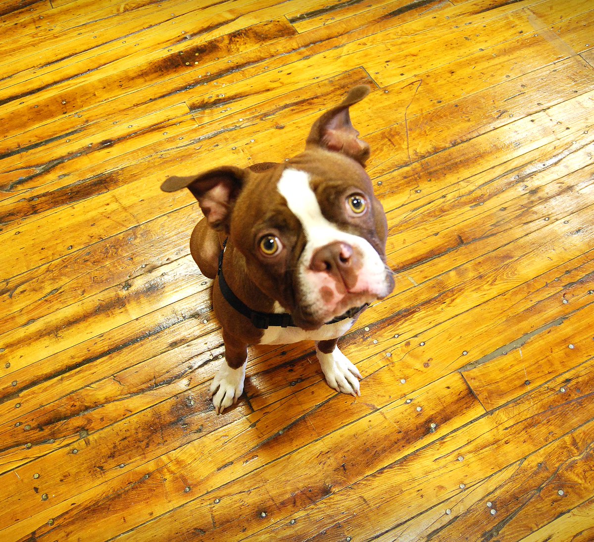open_square's tweet photo. Dat face #djangoforever https://t.co/aORcLx7CIo
