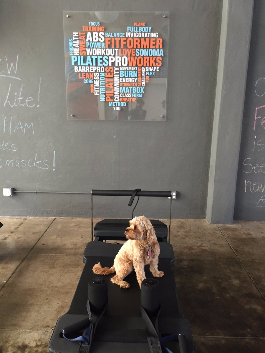pilatessonoma's tweet photo. New Class at Pilates ProWorks @ppw_sonoma 
Puplates! Sunny returns for a visit. https://t.co/yIxwHMvxsy