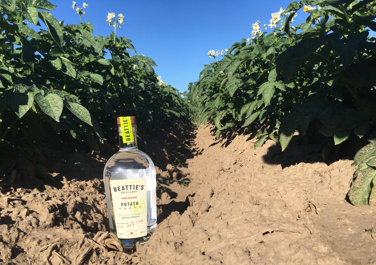 Beattie's Distillers tweet media