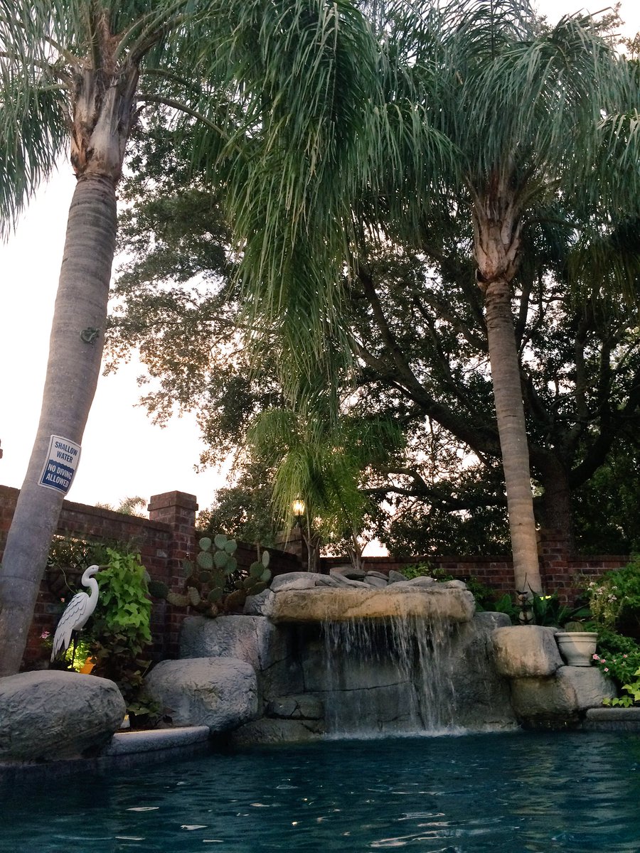 molaison_george's tweet photo. @DavidBernardTV Back yard, pool side sunset from Kenner. https://t.co/Z168u8wXIf