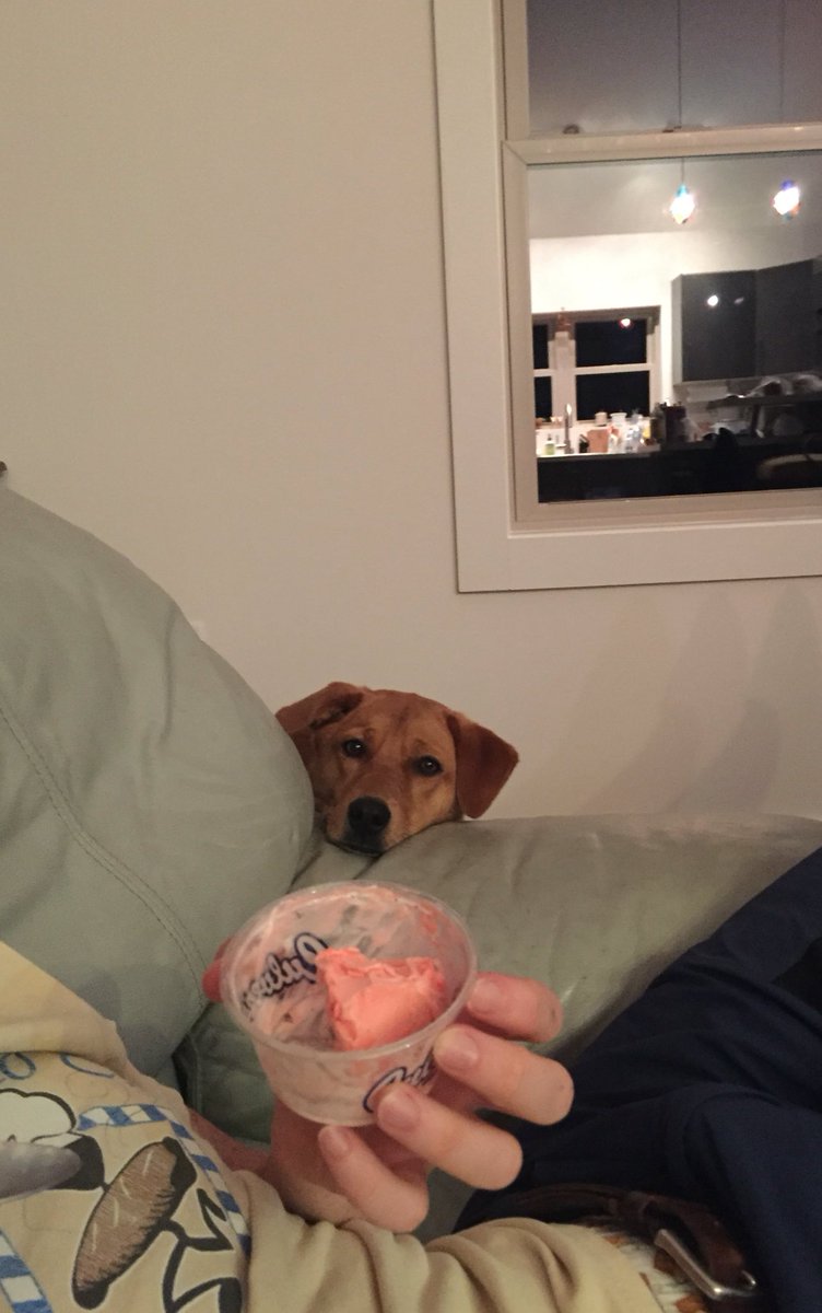 Nina Laughlin tweet media