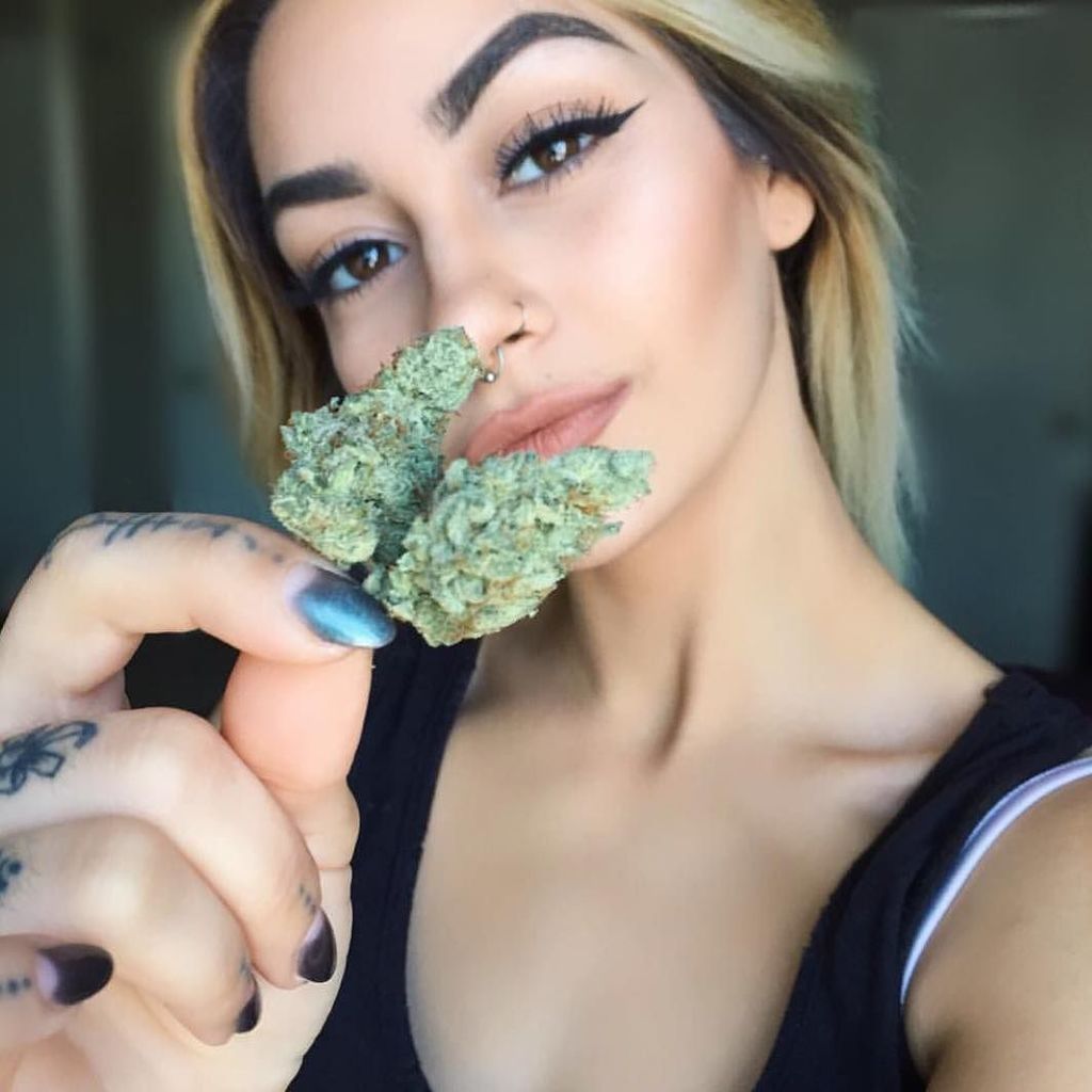 Ganja Girls tweet media