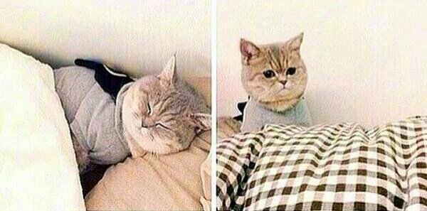 Tumblrzds98's tweet photo. quando eu estou dormindo e ligam a luz https://t.co/bbzF42mHI0