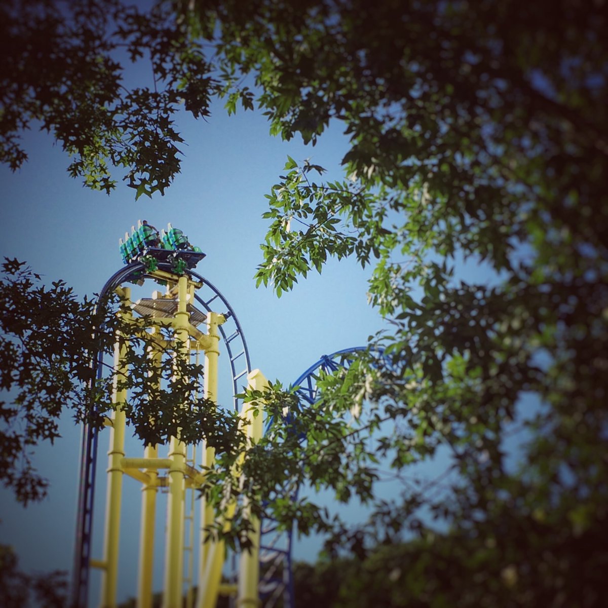 MuleMfg's tweet photo. Visited @KozmoKG today. Great park and a great time! Better value than #Disneyland https://t.co/RiVve41hNc