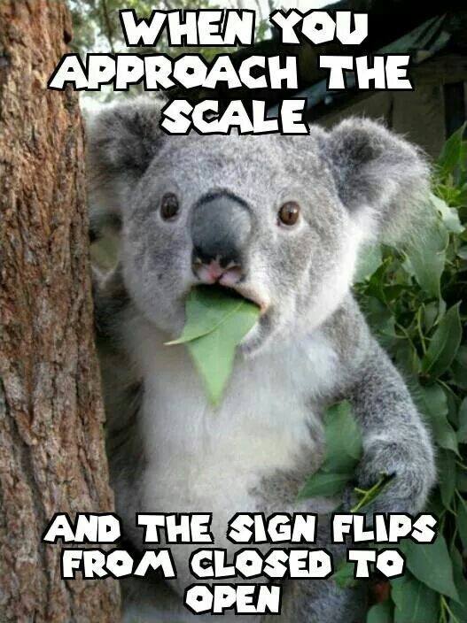 PermitHUB tweet media