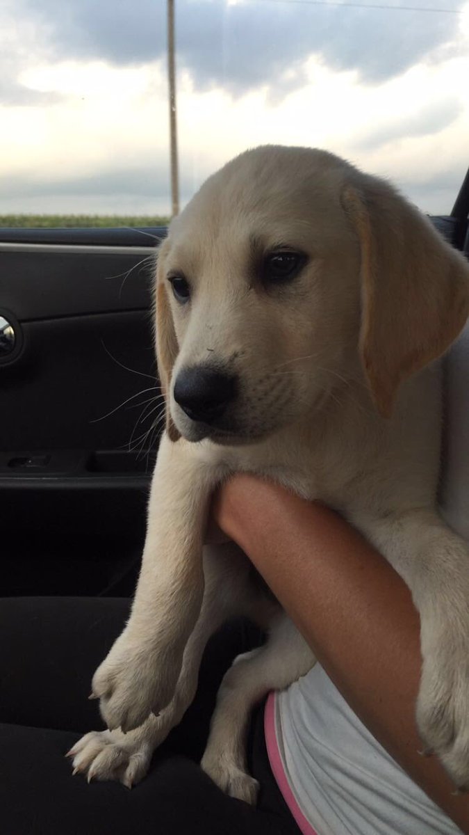 CarleyMellick's tweet photo. @stone_kourtney he is pretty cute but no way. https://t.co/j6oRM1tlY9