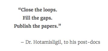 Biomellifera's tweet photo. One of the inspiring quotes for post-docs

@ghotamis https://t.co/Vb0tZim0vm