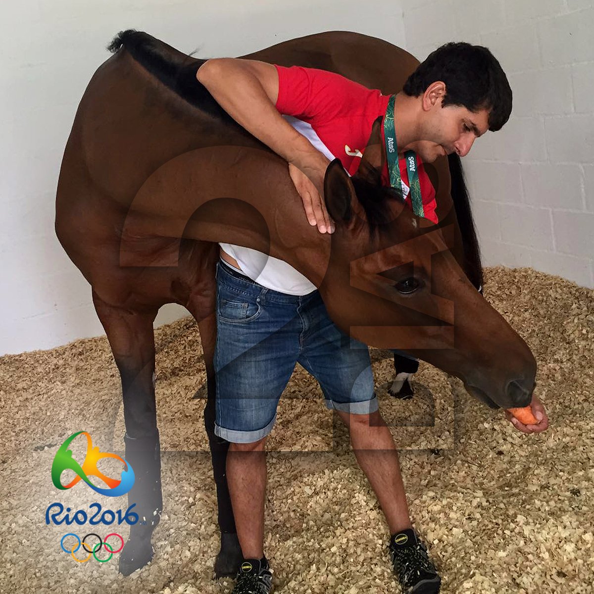 Albert_Hermoso's tweet photo. 2 días... 🏇 🇧🇷 #TeamESP 🇪🇸 #AHFRio2016. Estiramientos de #HitoCP @tonifisiovet https://t.co/nc9pcpmLQx