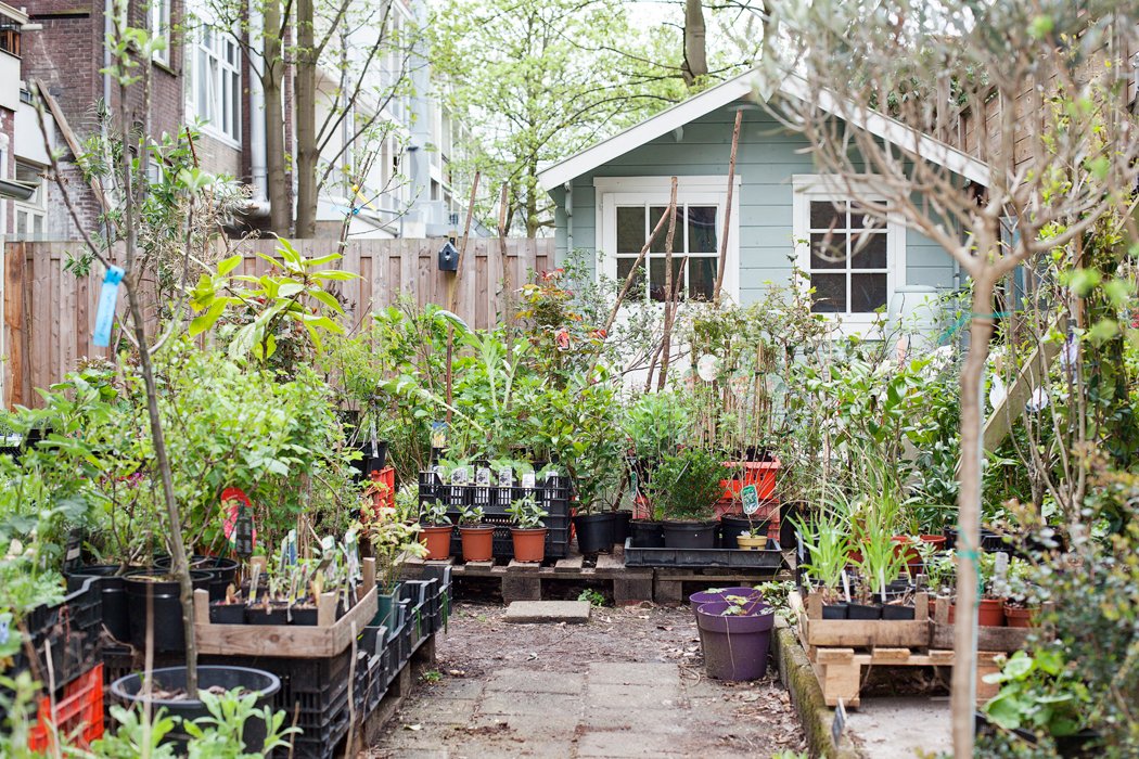 .<a href="/STEKRotterdam/">STEKstadstuinwinkel</a> offer organic plants, workshops and plan to create a greener #Rotterdam