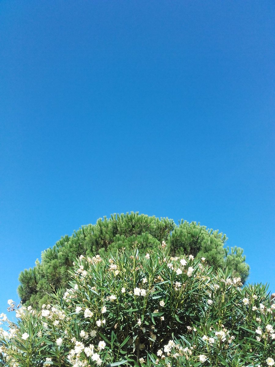 GraineD'Espoir 🖤🖤🖤 tweet media