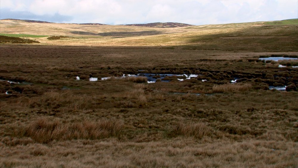 #curlew now a #declining #bird the #film Our Wilderness explores #peatlands #wales

vimeo.com/109326347