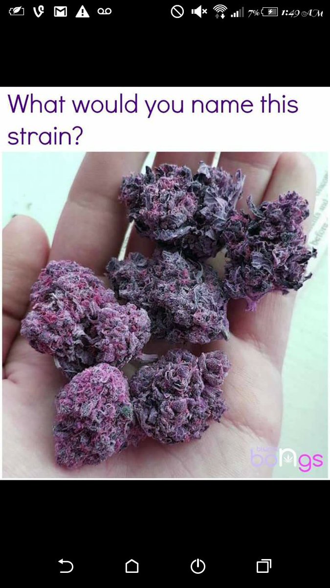 BarbieDreamzXD's tweet photo. UV Violet
#purpledank https://t.co/ethECkgR8s