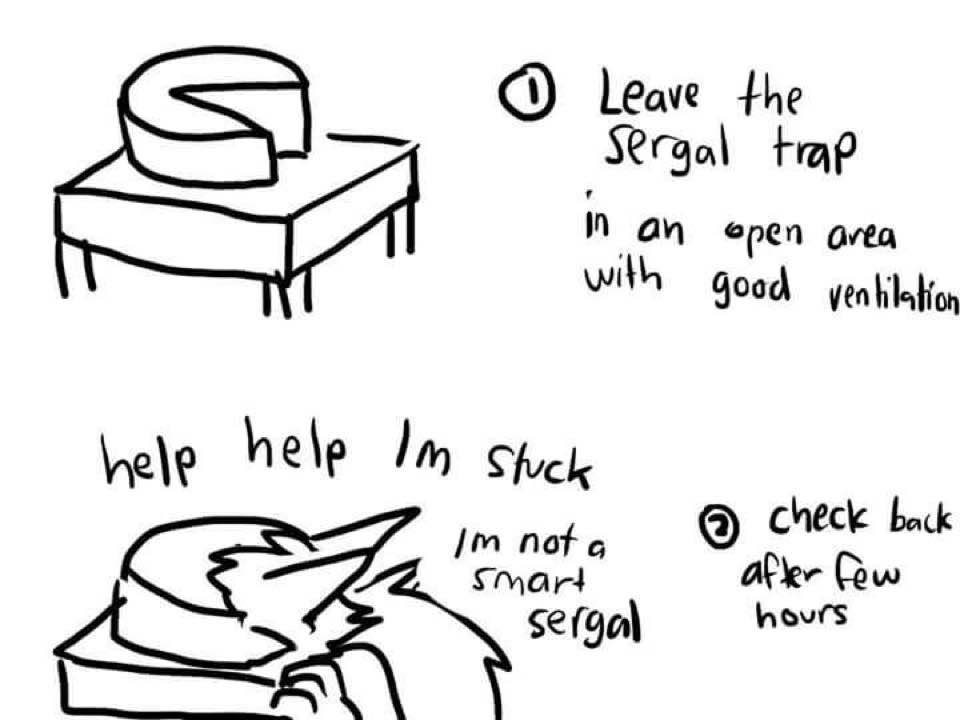 (Coincidentally I'm actually working on a sergal cheese trap). 