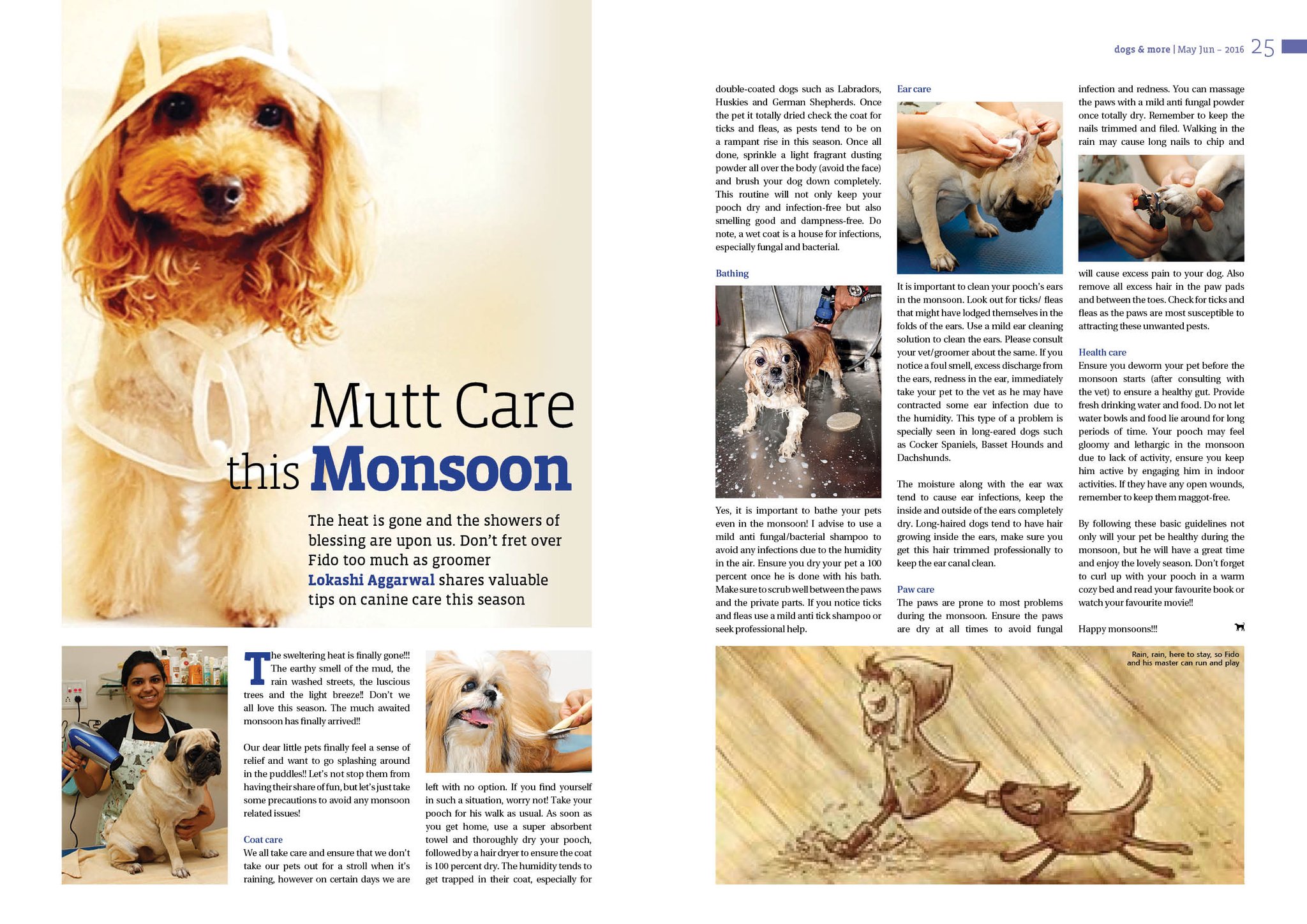 Dogs More On Twitter In Our Latest Issue We Bring To You Some