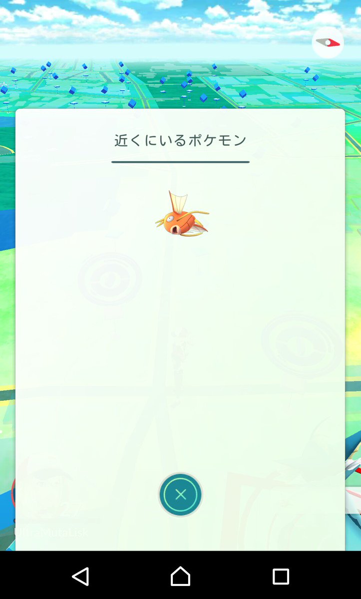 うむる ノクターンノベル ポケモンｇｏ ブームが去る気配を察知したのか いち早く姿を消した奴らがいるらしい いや お前らは頑張れよ