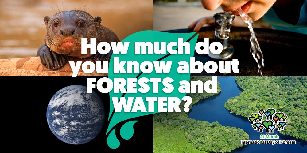 forestry_tep's tweet image. FAOForestry: How much do you know about forests &amp;amp; water? Take our quiz bit.ly/1Oa14gM #ForestH2O #CleanW…