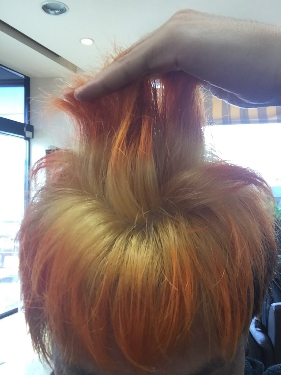 てつや 東海オンエア 12 18初エッセイ 天才の根源 発売 現在逆プリン