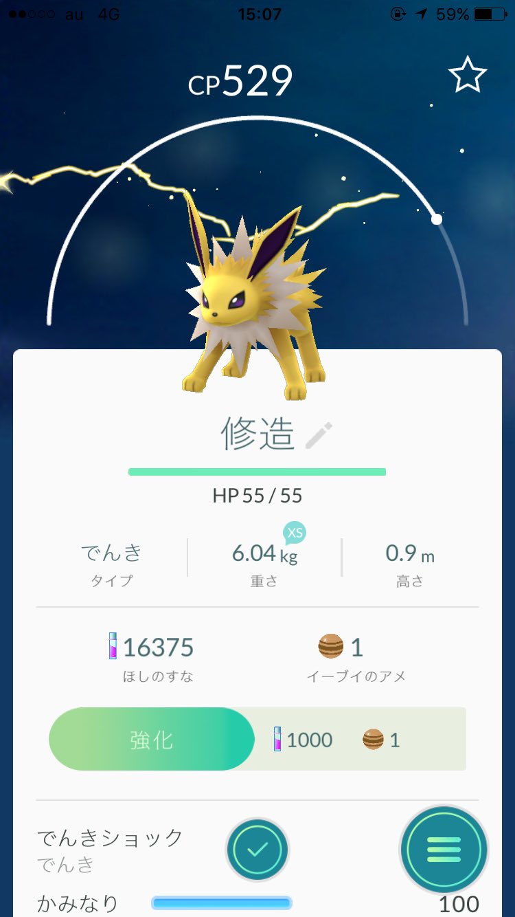 ポケモンgo イーブイの名前を 修造 にするとブースターに進化するってマジで ブログあしみの