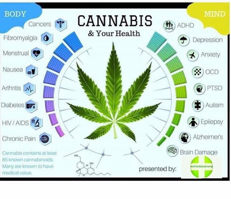 LaContesDenver's tweet photo. Learn about cannabis and your health! #mindvsbody #pain #illness #depression #lacontes #CO #wellness #highsociety https://t.co/06kpIwZYjP