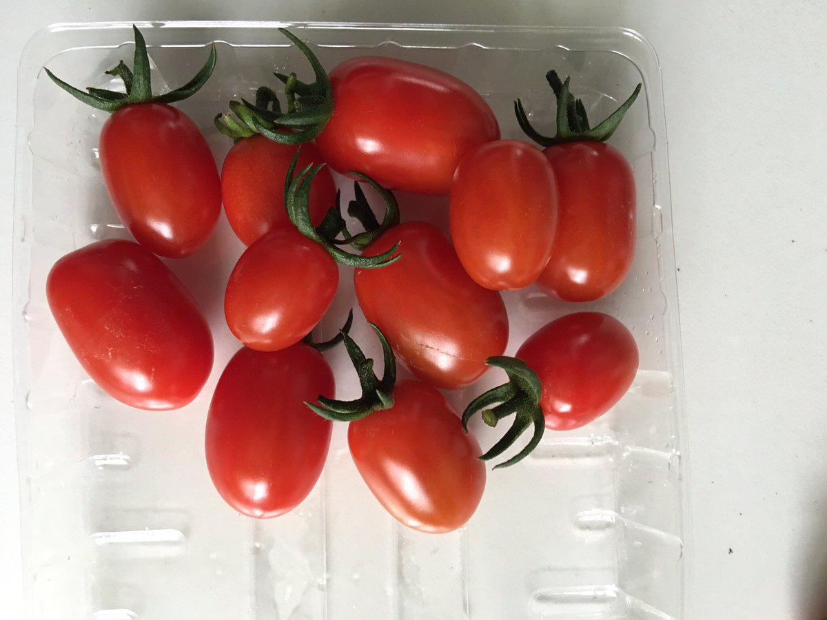 sarfsee's tweet image. #aTomatoaDay
Another #Tomato I'm growing this year, mentioned by @nickykylegarden is #Rosada 
Small and very tasty