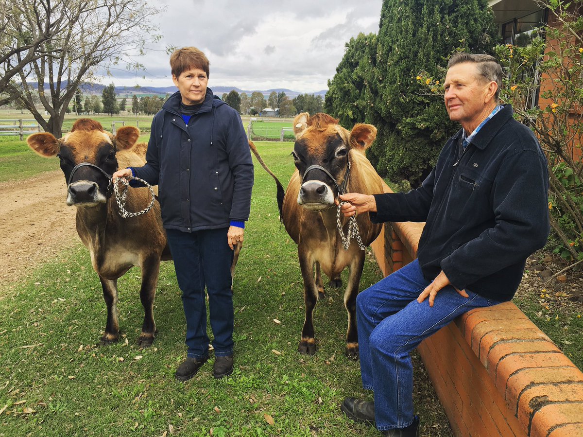 Darling Downs cattle breeders are gearing up to compete at <a href="/TheEkka/">Ekka</a>, details tonight on <a href="/7NewsToowoomba/">7NEWS Toowoomba</a>
