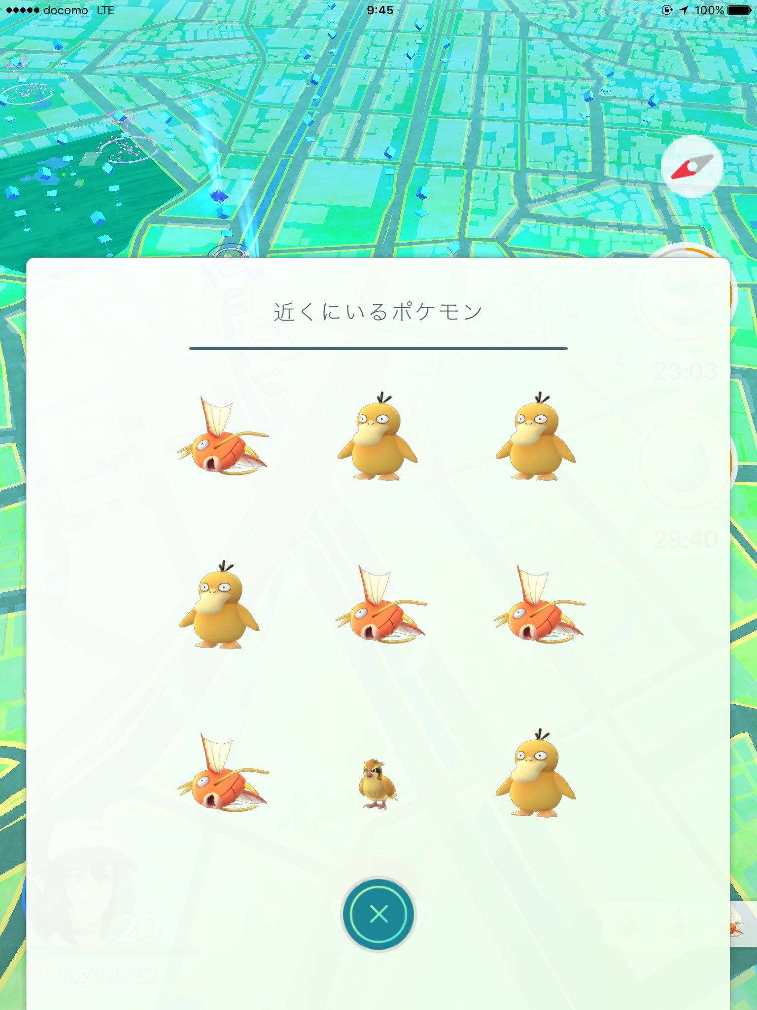 たまご 東京 目黒川がコイキング コダック ヤドンの巣になってます また ミニリュウもかなりの頻度で出現します 自販機で飲み物を買いつつ 日陰でこまめに休憩しながらのプレイをオススメします ポケモンgo T Co 0nrd23ckgi Twitter
