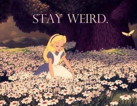 widget13's tweet photo. https://t.co/NlDRCf5zU4