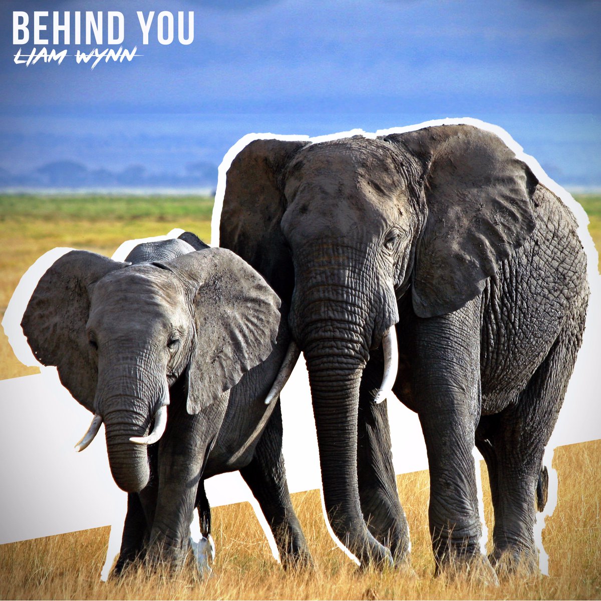 WasteOfLiam's tweet photo. Everyone who likes this in the next 24hrs will be given a free download of "Behind You" before it releases Saturday. https://t.co/MhoRn6JXpI