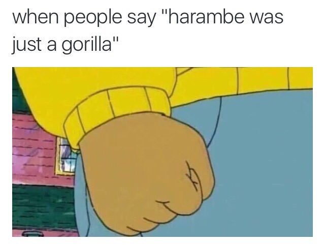 Troijjan's tweet photo. @Enteting rip harambe https://t.co/NtGm9mGAJY