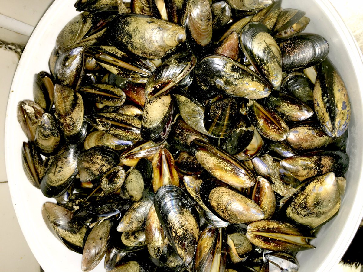 Fishers in the City tweet media