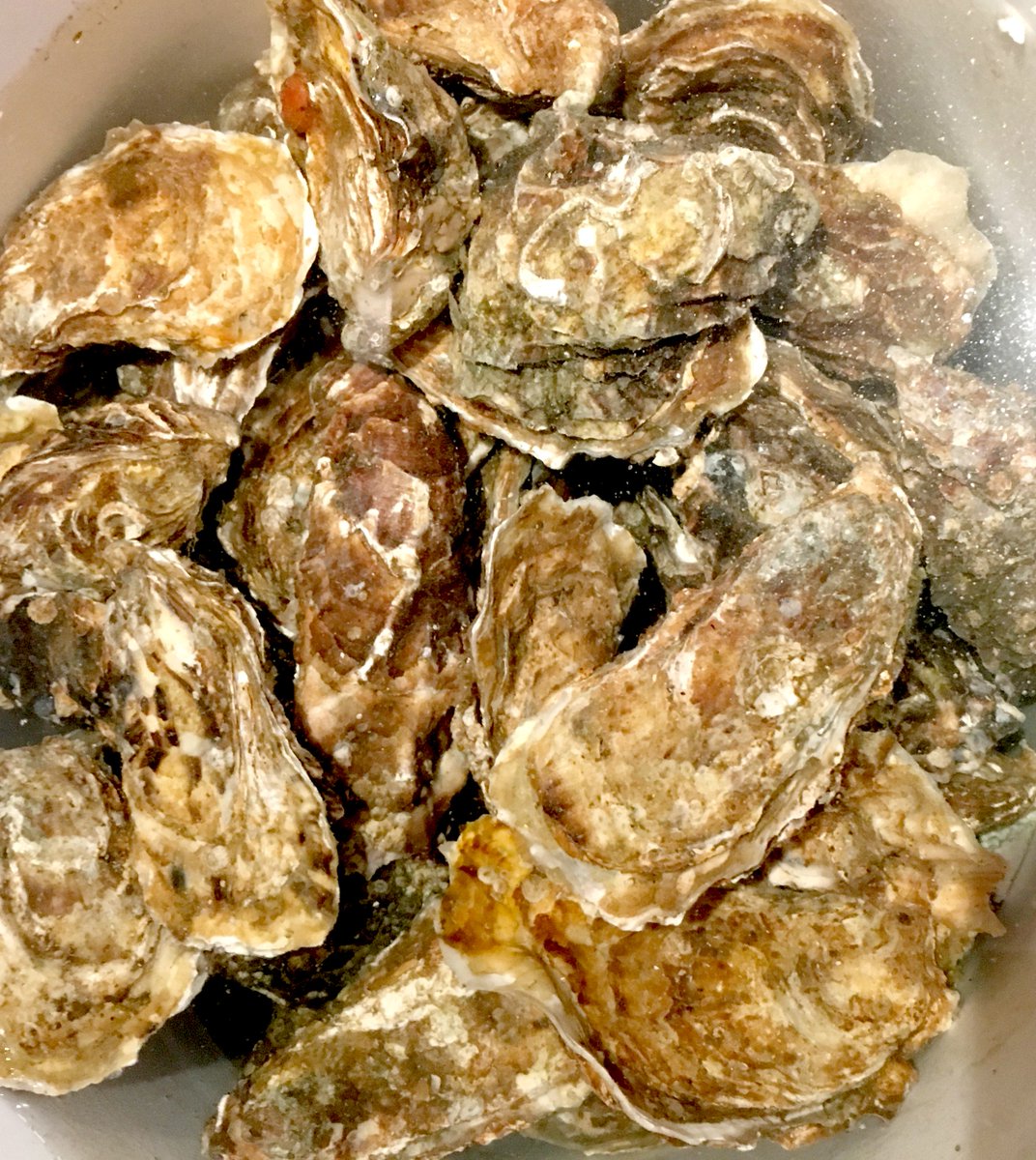 Fishers in the City tweet media