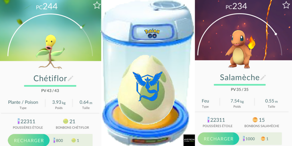 PokeGoAveyron's tweet photo. #CarnetRose #Aveyron:#Chétiflor + #Salamèche #TeamSagesse aujourd'hui! 👍 #PokemonGO #PokeGoAveyron 🌿🌾🌿 #TeamMystic 🙌 https://t.co/7O0C9d6L5Z