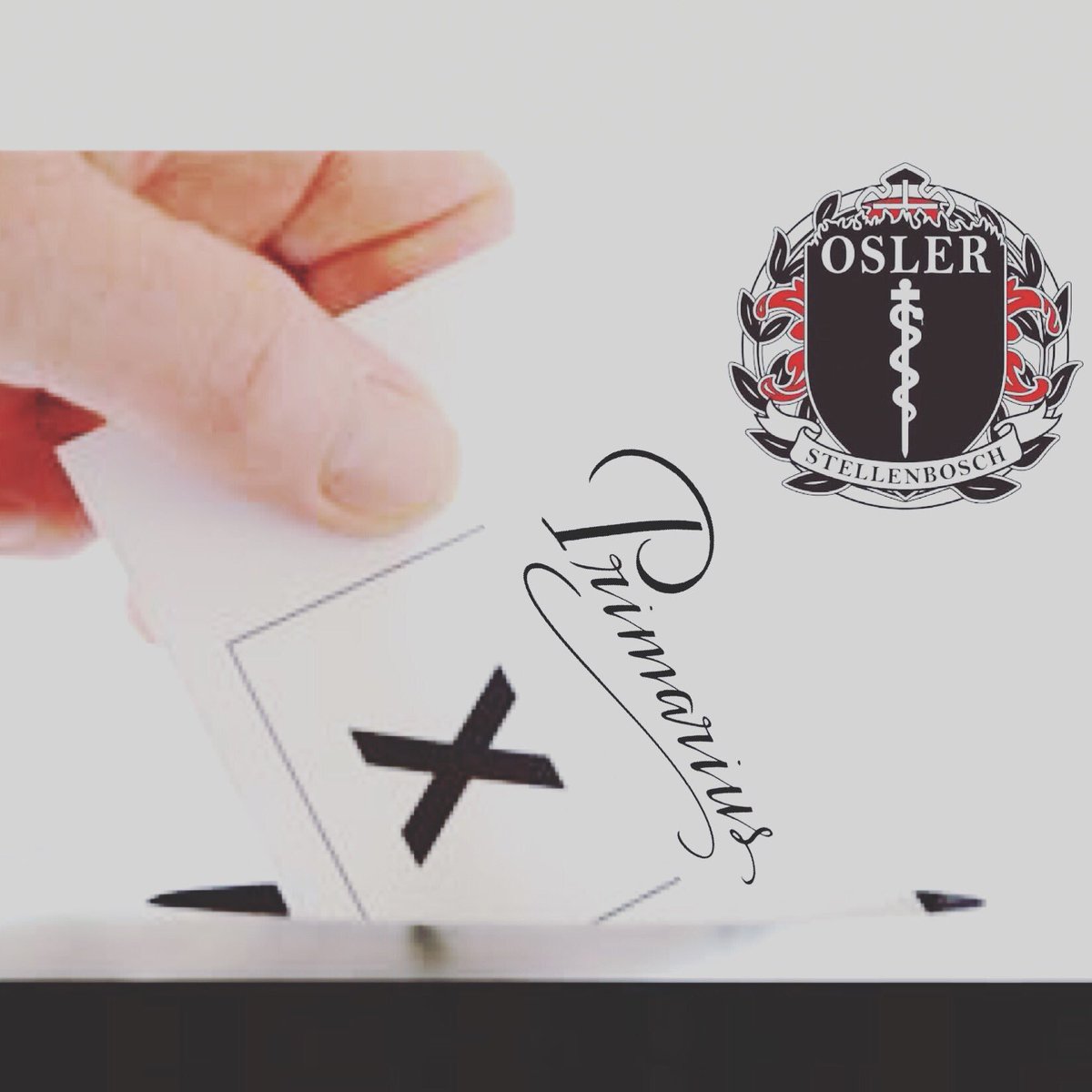 So you voted in the IEC elections, but have you voted for your Oz Prim! 
#Doit
goo.gl/forms/ZGYNP9S5…