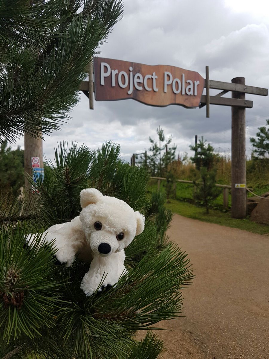 Our very own Victor had a great time at Yorkshire Wildlife Park today <a href="/YorkshireWP/">Yorkshire Wildlife Park 🦁</a> <a href="/YWPFoundation/">YWPFoundation</a>