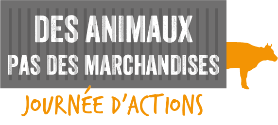 CIWF_FR's tweet photo. Rdv le 29 août pour dire STOP aux transports longues distances d'animaux vivants https://t.co/AHQOdqv6Wp #notfreight https://t.co/jkGNWLu9fm