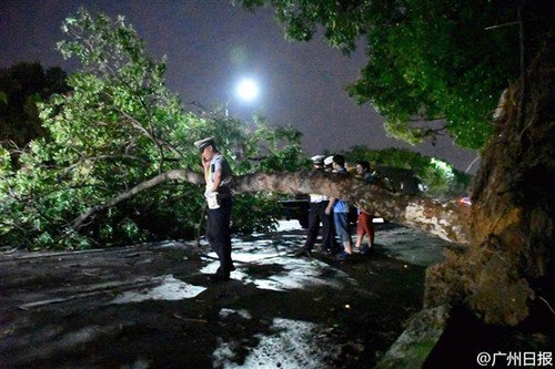 CGTNRadio's tweet photo. #TyphoonNida affected 495,000 people in #China : ministry
https://t.co/Mxs5xOn836 https://t.co/FSnK1s6FP1
