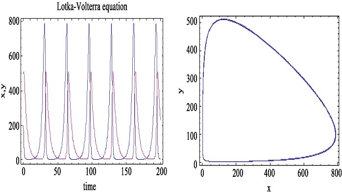 buy phases of