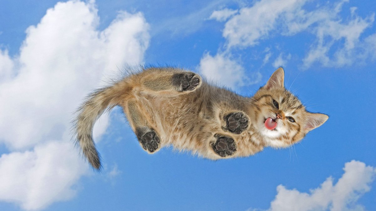 hurdboulsides11's tweet photo. https://t.co/orl3fzCJRW