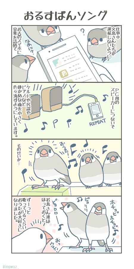 おるすばんソング。 #buncho #javasparrow #文鳥 