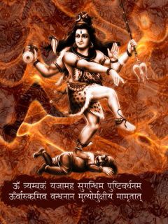 mohit231187's tweet image. 