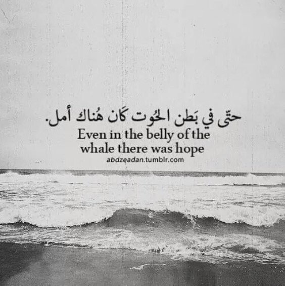 حتى في بَطن الحُوت كَان هناك ....