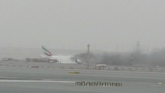 View image on Twitter