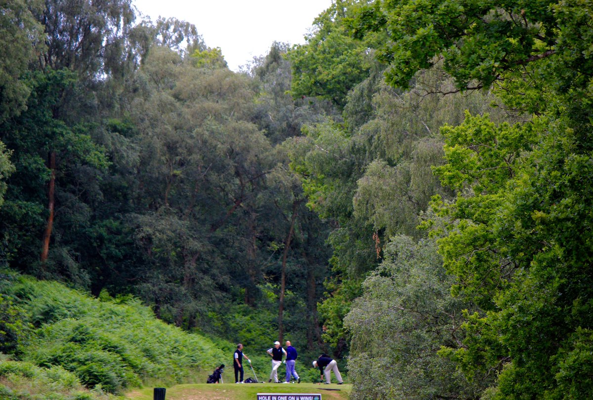 Mid-Summer madness. A 4-ball for £80 on #Ashdownwest. Can you make a par on our long par-3 11th? Call 01342 822018.