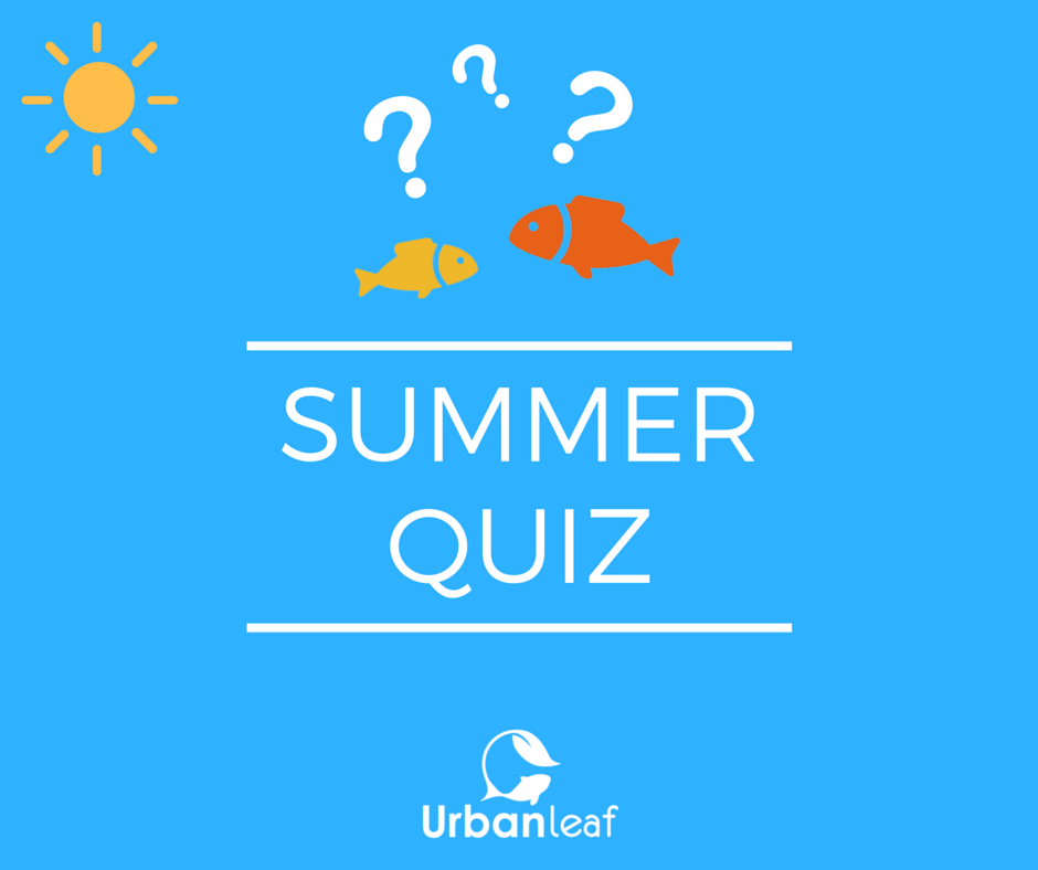 #Jeuconcours Urbanleaf : tentez de remporter un bon d'achat de 30€ sur ow.ly/OOMG302S8be ! #aquaponie