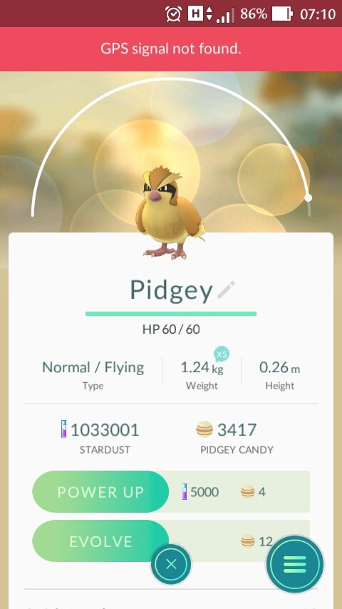 PokemonGO Blumenau (@PokemonGObnu) / Posts / X