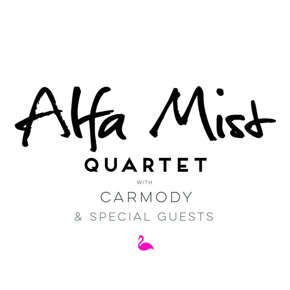 pinkbirdlive's tweet photo. The next @pinkbirdlive with @AlfaMist is £10 at https://t.co/kzXeP2fmRu | £12 OTD! St. James Church N1 8PF #alfamist https://t.co/ncNwR7VJKW